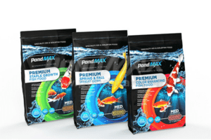 Fish Food & Accessories