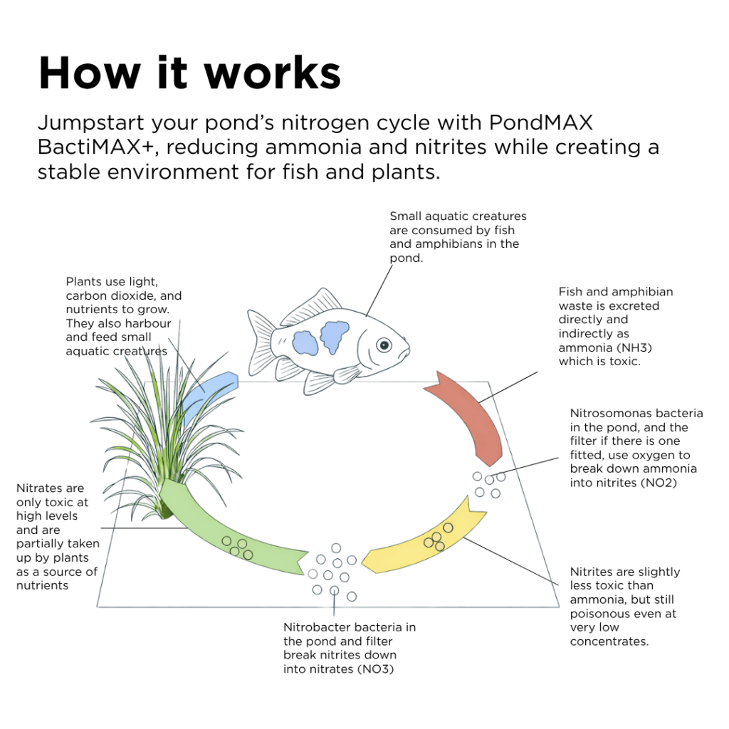 BactiMAX+ All Season Beneficial Bacteria