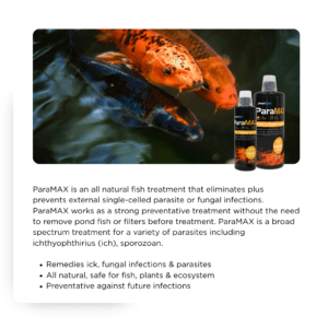 PondMAX ParaMAX Treat and Prevent Infections Benefits