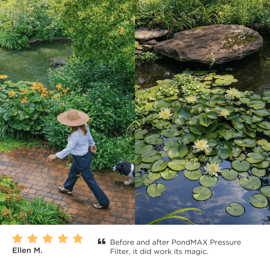 Ultra Series Pressure Pond Filter with UV Clarifier