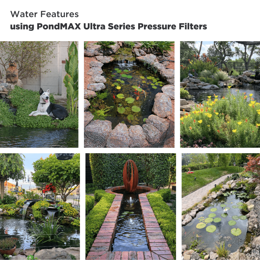 Ultra Series Pressure Pond Filter with UV Clarifier