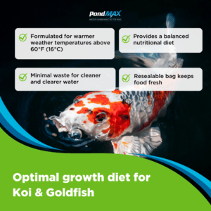 PondMAX Staple Growth Fish Food Benefits