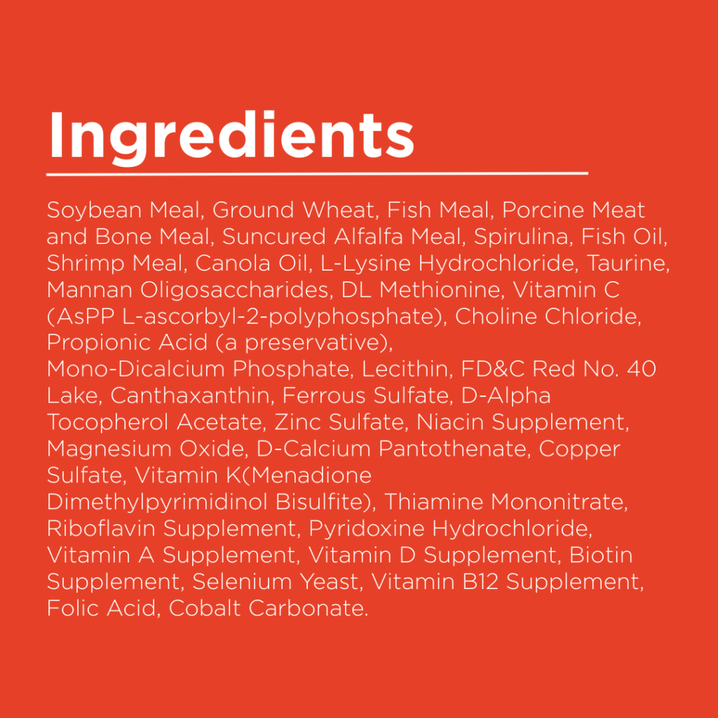 Color Enhancing Fish Food
