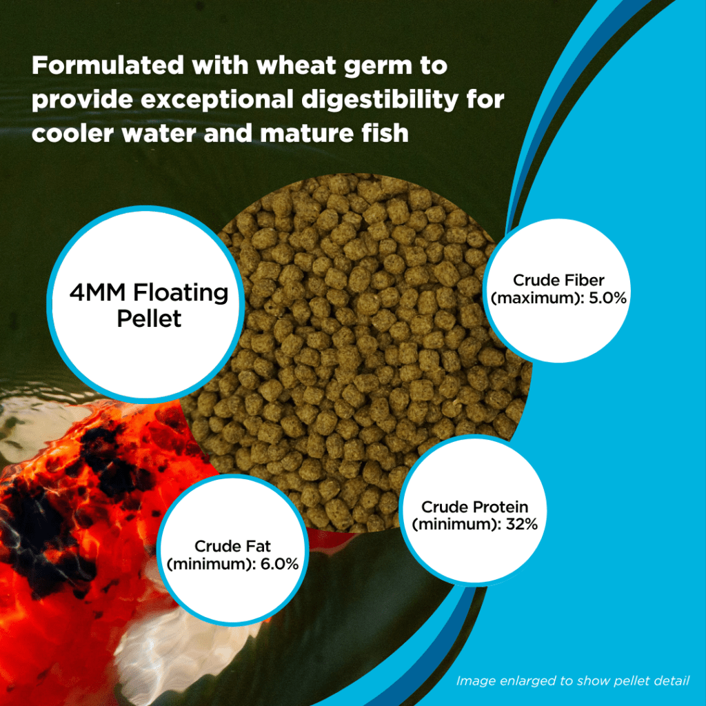 Spring & Fall Wheat Germ Fish Food