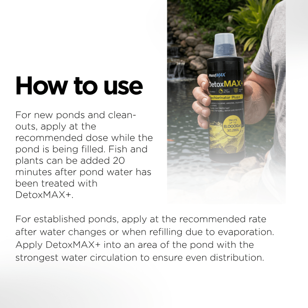 DetoxMAX+, Dechlorinator Plus+