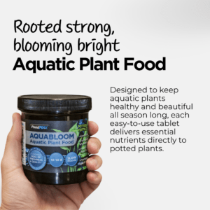 PONDMAX Aquabloom Plant fertilizer Benefits