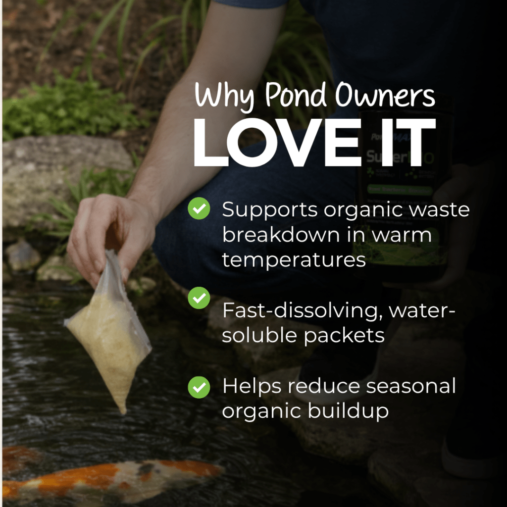 SuperBIO Pond Bacteria Booster