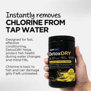 DetoxDRY Benefits