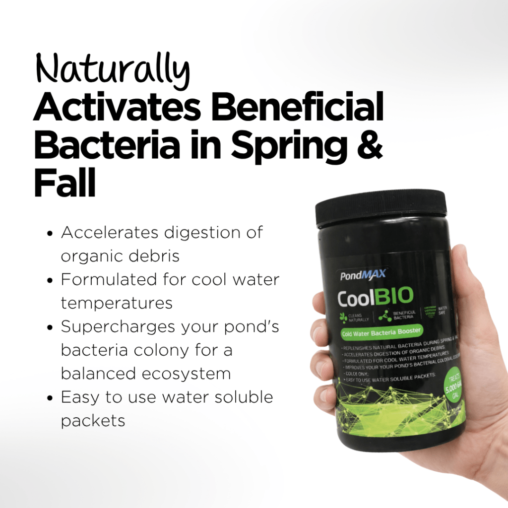 CoolBIO, Cold Water Bacteria Booster