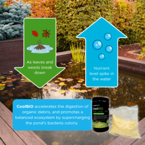 CoolBIO Cold Water Bacteria Booster How it works