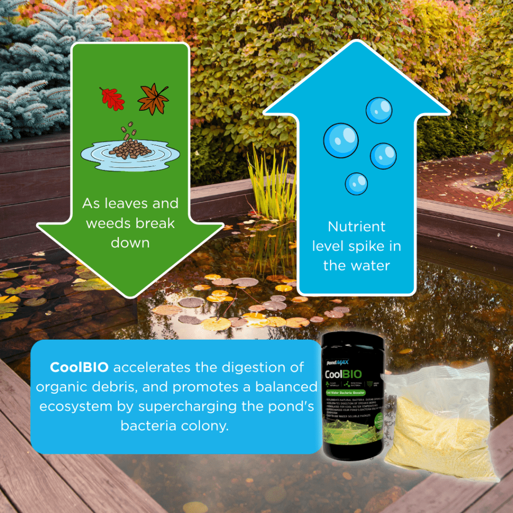 CoolBIO, Cold Water Bacteria Booster