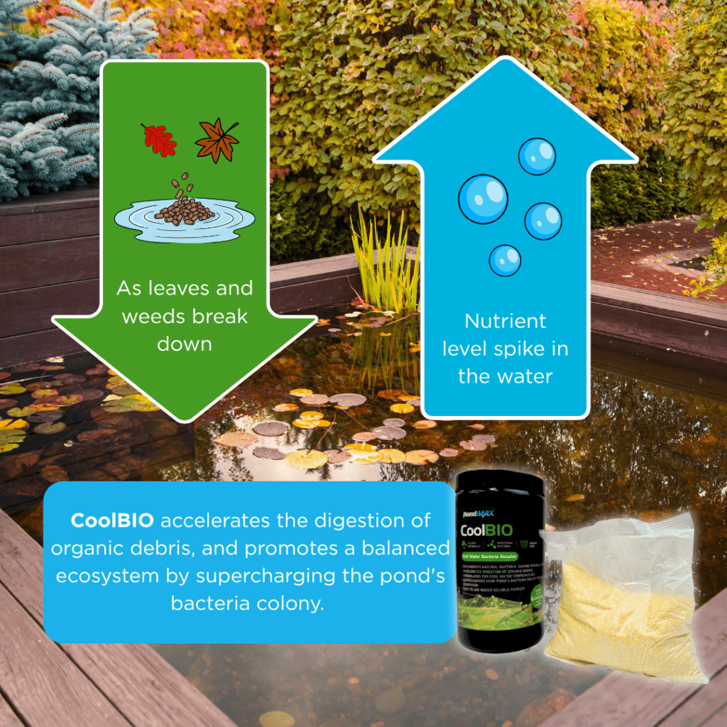 CoolBIO, Cold Water Bacteria Booster