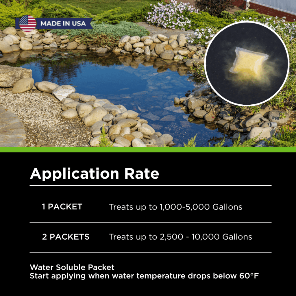 SuperBIO, Pond Bacteria Booster