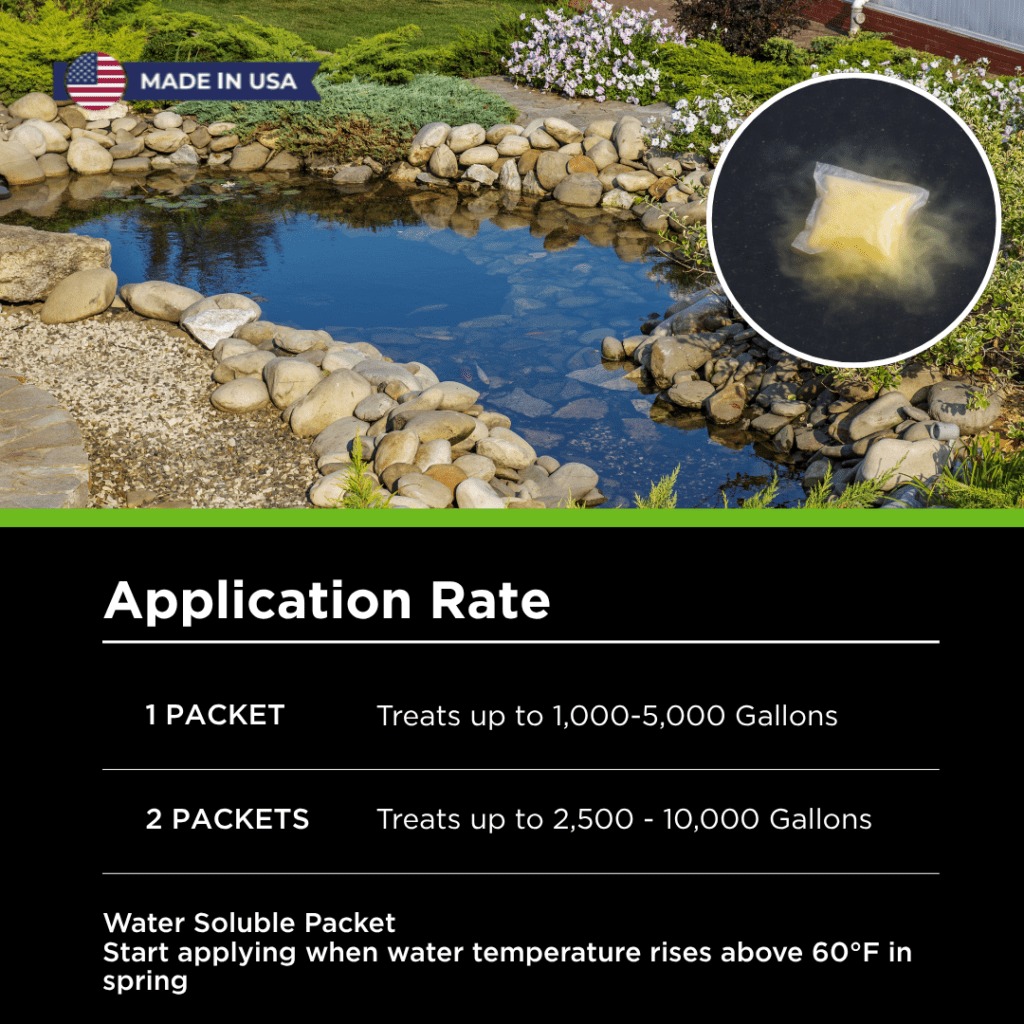 SuperBIO Pond Bacteria Booster