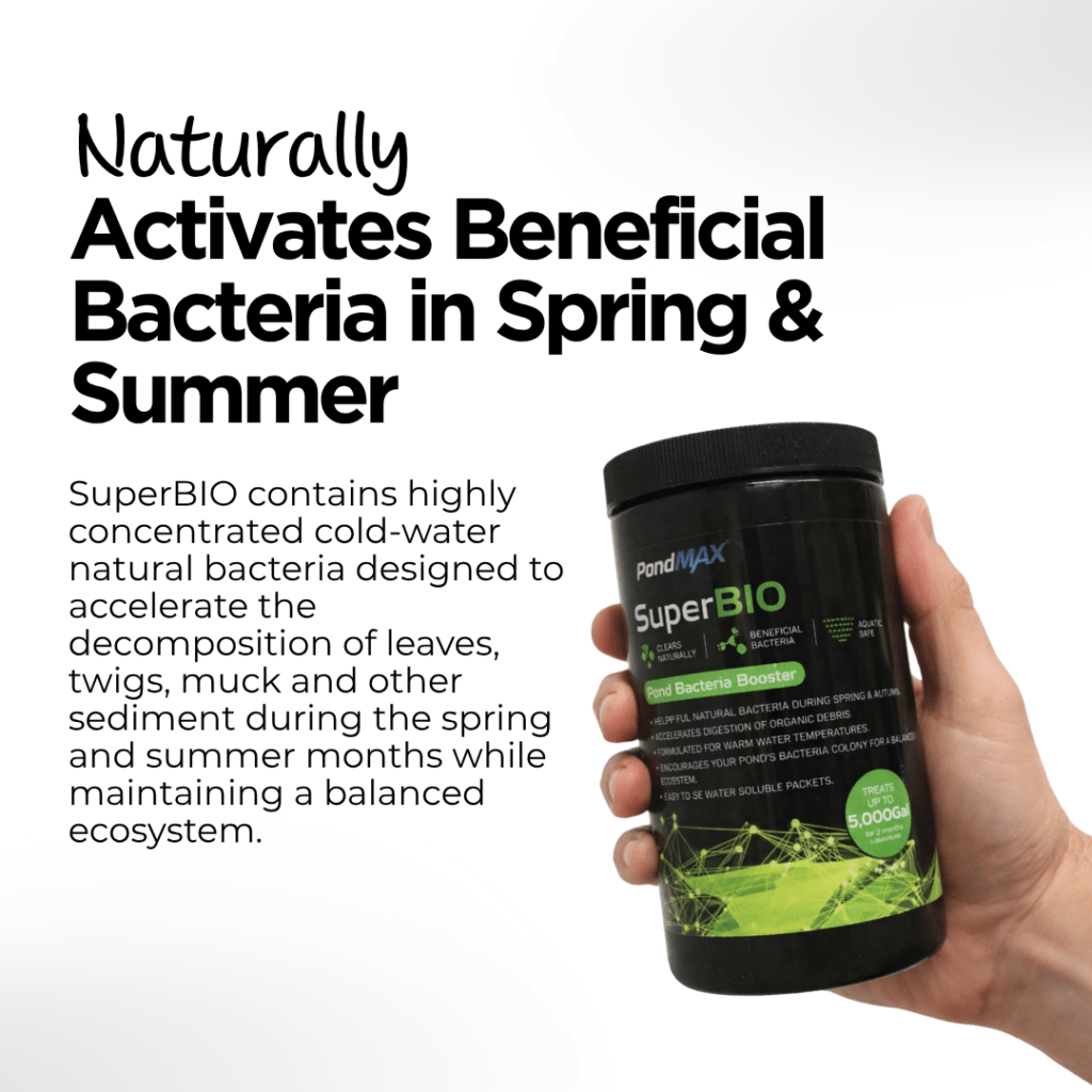 SuperBIO Pond Bacteria Booster