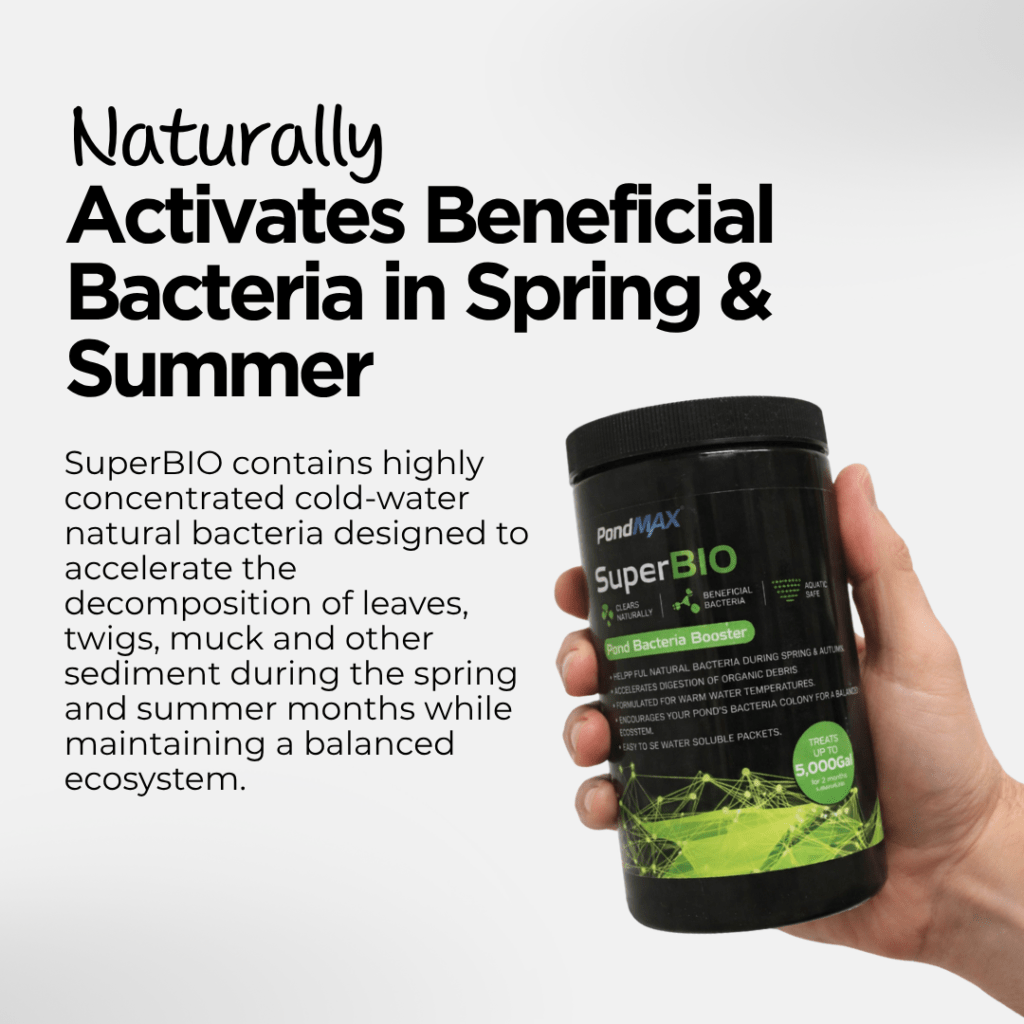 SuperBIO, Pond Bacteria Booster