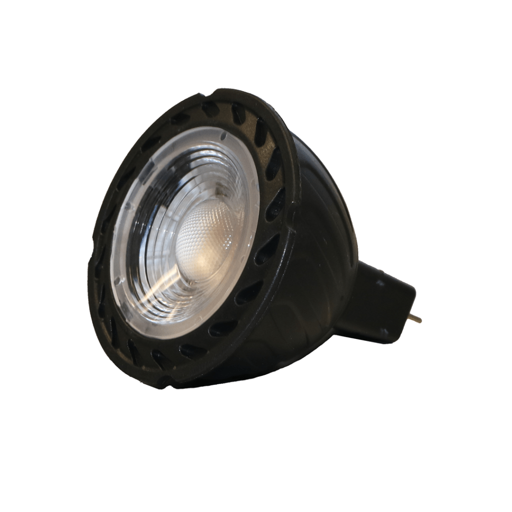 Replacement Bulbs and Lens