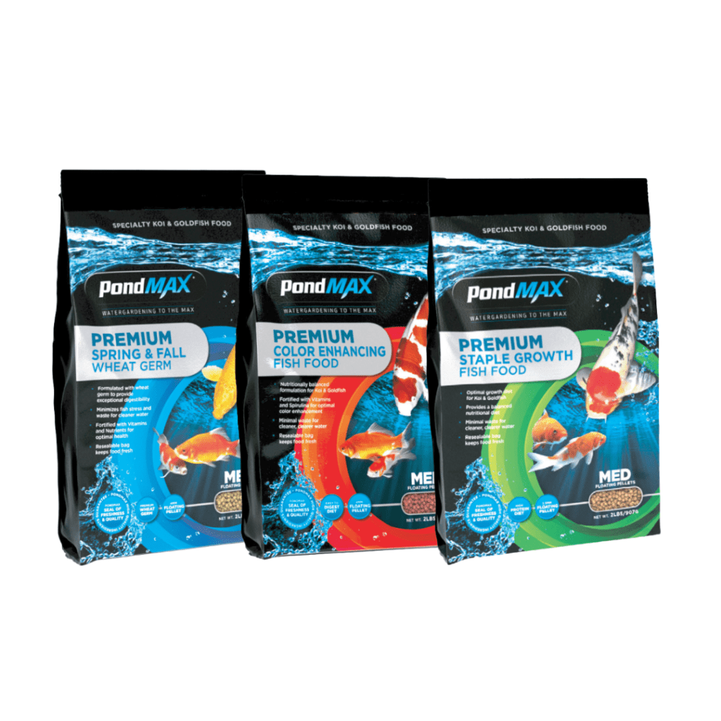 Fish Food & Accessories