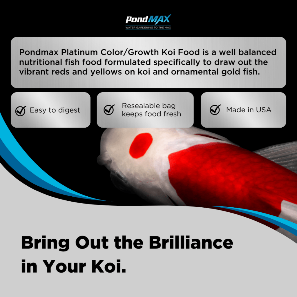 Platinum Color & Growth Koi Food