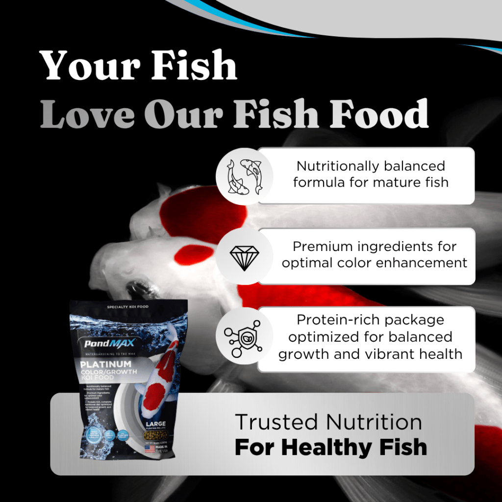 Platinum Color & Growth Koi Food